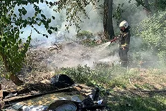 Из-за поджогов тополиного пуха в Екатеринбурге за сутки произошло 250 возгораний