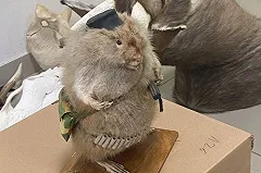 В Екатеринбурге пройдет трофейный охотничий форум