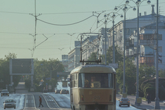 Транспортники Екатеринбурга просят отменить льготный проезд