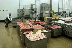 В Россию пытались ввезти более ста тонн мясной продукции из США