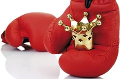 Сборная России завоевала все золотые медали чемпионата Европы по ММА