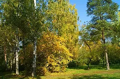 Екатеринбуржцы заработают на своей фантазии, представив лучший проект парка