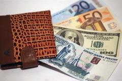 Россияне потеряли по 220 долларов с зарплаты из-за падения рубля