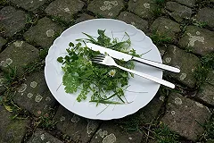 PETA назвала самую сексуальную в мире вегетарианку