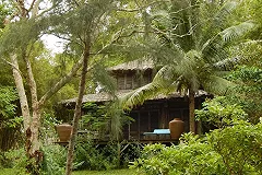 Аэропорт Кольцово обновил расписание: добавились Омск, Челябинск и Тараз