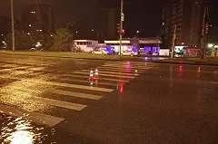 В Свердловской области отправили в колонию водителя, который насмерть сбил женщину