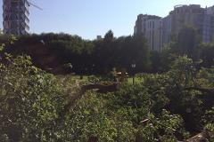 В Екатеринбурге возле дендропарка началась вырубка деревьев