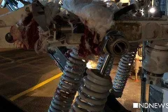 Появились снимки самолета, столкнувшегося при взлете со стаей птиц