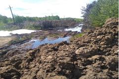 В Свердловской области произошёл разлив нефти — фото