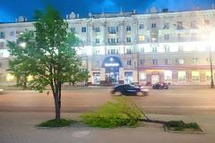 Ветер повалил молодую липу на улице Свердлова в Екатеринбурге