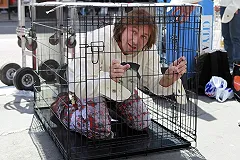 Титов встретится в Лондоне с покинувшими Россию бизнесменами