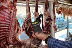 Россельхознадзор, МВД и ФСБ уничтожили тонну «зеленого» мяса с «Таганского ряда»