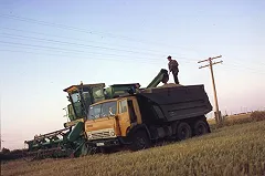 Семья судьи Свердловского облсуда отсудила 3 млн у фермеров за гибель ребенка