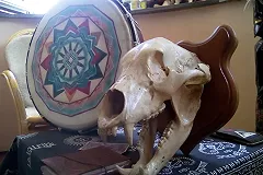 Колдун-вудуист Антон Симаков провел обряд на привлечение удачи в Екатеринбург