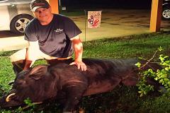 Алабамский охотник завалил 370-килограммового дикого кабана
