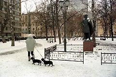 В соцсетях возмутились экспериментом Рогозина с «утоплением» таксы