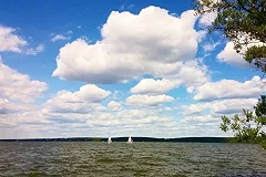 Больше десяти человек готовы занять пост директора Шарташского лесопарка