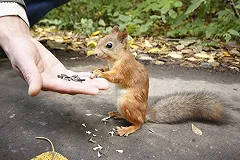 В Екатеринбурге выбрали пять парков, которые могут благоустроить в 2022 году