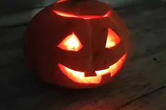 Зоозащитники призвали не отдавать в чужие руки черных собак и кошек перед Хэллоуином