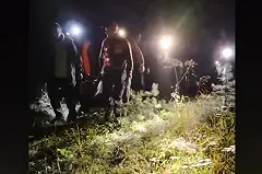 В лесу под Екатеринбургом нашли женщину, которую искали двое суток