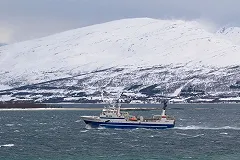 Иностранные моряки с «Дальнего Востока» взяты под арест