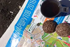 В Екатеринбурге началась регистрация на «Майскую прогулку»