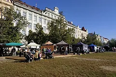 Сельхозпроизводители попросили не отменять из-за коронавируса ярмарки выходного дня