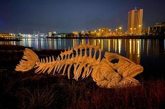 На берегу Исети обнаружен скелет гигантской рыбы