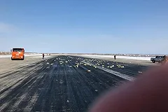 «Золотая лихорадка»: якутяне второй день ищут просыпавшиеся из самолета слитки