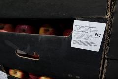 В Екатеринбурге уничтожат почти 2 тонны санкционных яблок