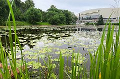 Мать подростка, которого пытались утопить из-за самоката двое мигрантов, рассказала о закрытии дел