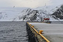 Спасенных иностранных моряков с «Дальнего Востока» оштрафовали