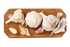 Ученые: Антибиотики можно заменить чесноком