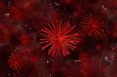 В Россию вернулся коронавирус — на этот раз он приехал из Италии