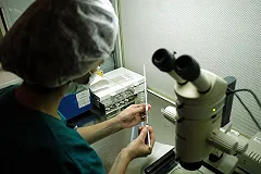 Экспертиза ДНК показала причастность «реального пацана» к гибели студентки