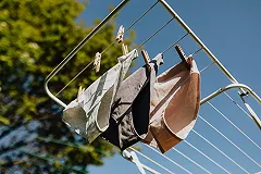 Жители Швейцарии закопают трусы в землю ради науки