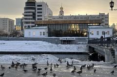 В Свердловской области резко потеплеет до плюсовых температур