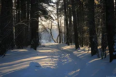 Синоптики: объем выпавшего в Екатеринбурге снега составил 80% от месячной нормы