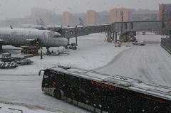 «Аэрофлот» не пустил часть пассажиров на борт в Екатеринбург из-за нехватки мест