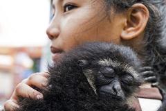 На выставку обезьян в Екатеринбурге приехала самая красивая в мире мартышка
