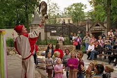 Трагедия на Дальнем Востоке: убиты 12 котов-артистов