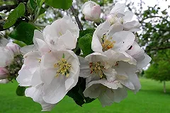 Россиян ждут две трехдневные рабочие недели