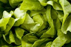 Ученые выяснили, какие пестициды и из каких овощей провоцируют развитие аутизма