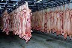 ЕС намерен взыскать с России 1,39 млрд евро из-за ограничения импорта свинины