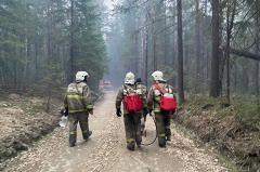 В Свердловской области площадь лесных пожаров за сутки выросла в два раза