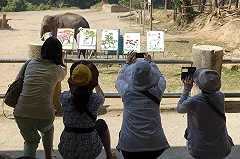 Богатые китайцы вытеснили россиян из Европы