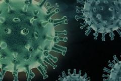 Резкий прирост: коронавирусом в Свердловской области заболели больше 350 человек за день