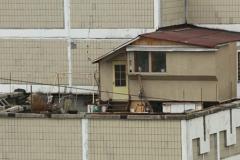 Прокуратура требует снести баню с крыши многоэтажки в Кемерово