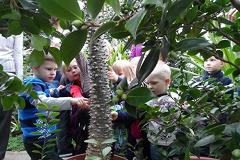 Ботанический сад УрО РАН признают общенациональным достоянием