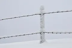 Под Оренбургом задержали сбежавшего из колонии при «Черном дельфине»